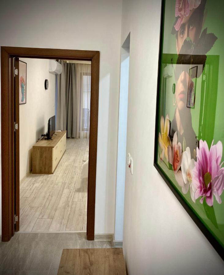 Spacious & Cozy 2 Bed Apartment With Work Space & Fast Wi-Fi スタラ・ザゴラ エクステリア 写真